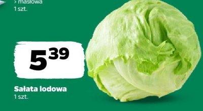 Sałata lodowa promocja w Netto