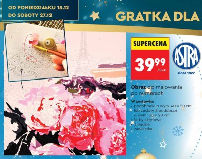 Obraz do malowania po numerach ASTRA promocja w Biedronka