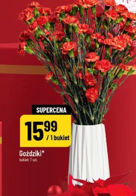 Goździki promocja w POLOmarket