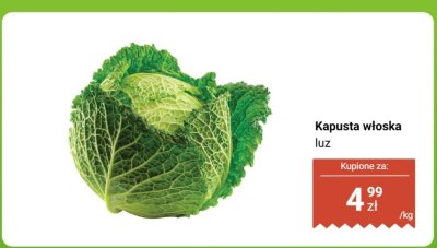 Kapusta włoska luz promocja w Dino