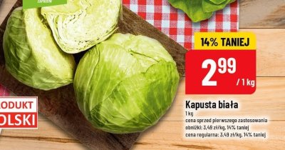 Kapusta biała promocja w POLOmarket