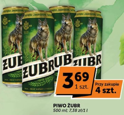 Piwo Żubr promocja w Euro Sklep