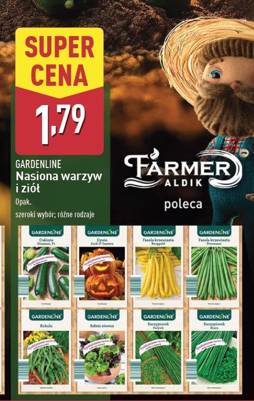 Nasiona szczypiorek GARDEN LINE promocja w Aldi