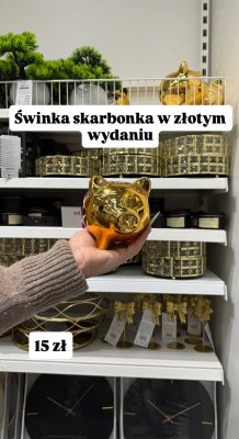 Świnka skarbonka  promocja w Pepco