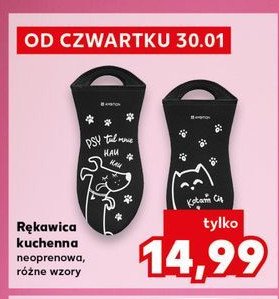 Rękawica kuchenna promocja w Kaufland