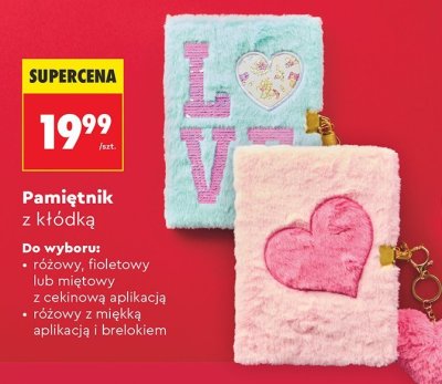 Pamiętnik z kłódką różne rodzaje promocja w Biedronka