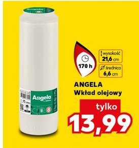 Wkład olejowy 8d Bolsius promocja