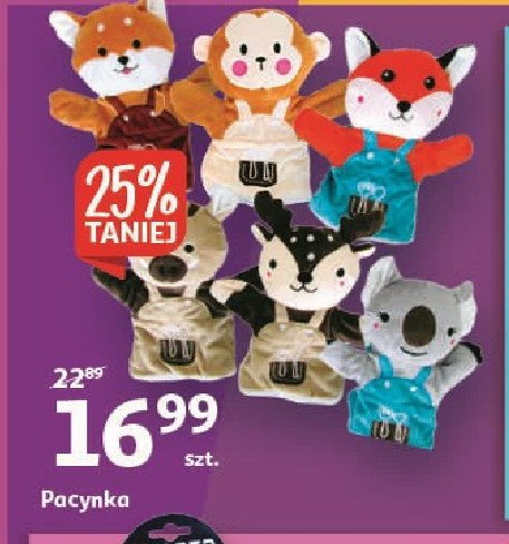 Pacynka promocja w Aldi