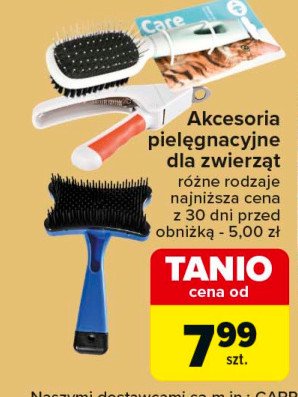 Szczotka dla psa promocja