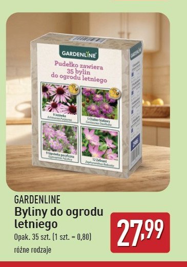 Zestaw bylin Garden feelings promocja