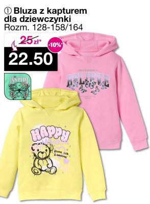 Bluza z kapturem dla dziewczynki Rozm. 128-158/164 promocja w Woolworth