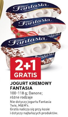 Jogurt kremowy Fantasia Danone różne rodzaje promocja w Stokrotka