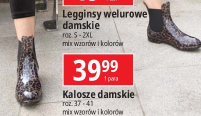 Kalosze damskie 37-41 promocja