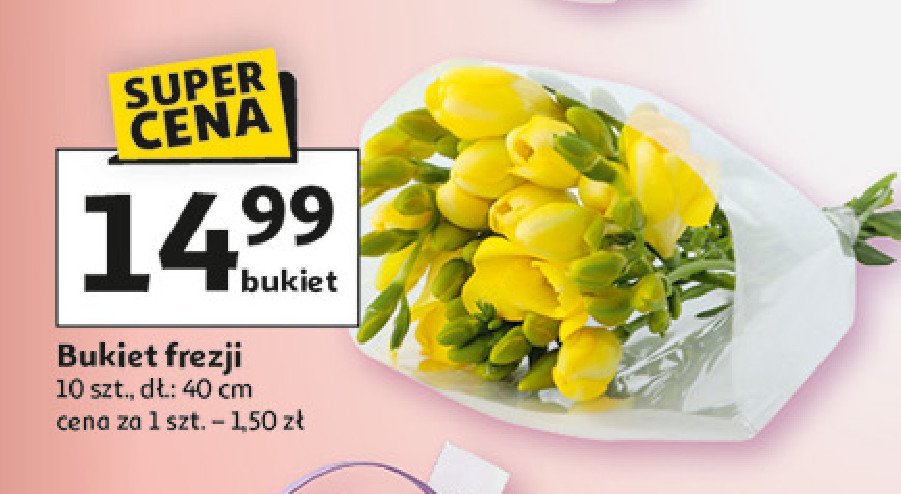 Bukiet frezji promocja w Auchan