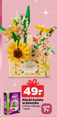 Klocki kwiaty w koszyku różne rodzaje promocja w Netto