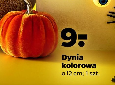 Dynia kolorowa 12 cm promocja