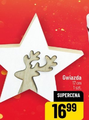 Gwiazda dekoracyjna 17 cm promocja w POLOmarket