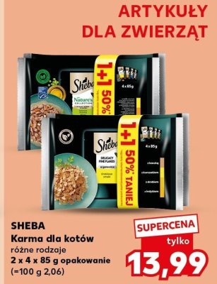 Karma dla kotów Sheba różne rodzaje promocja w Kaufland