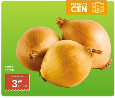 Cebula promocja w Dino