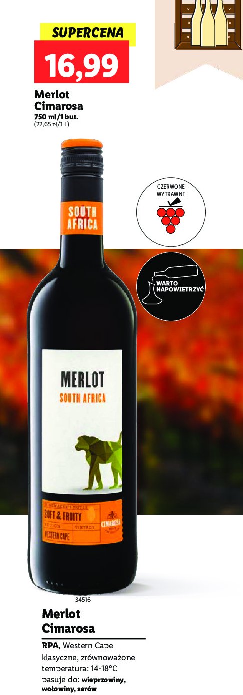 Wino merlot south africa Cimarosa promocja