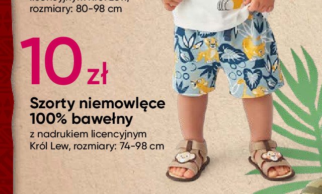 Szorty niemowlęce 74-98 cm król lew promocja