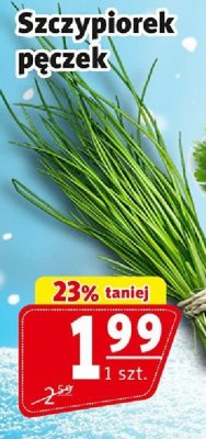 Szczypiorek pęczek Prim Market promocja w Prim Market