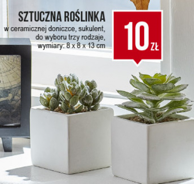 Roślina sztuczna w donicy 8 x 8 x 13 cm promocja