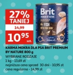 Karma dla psa z rybą BRIT PREMIUM AND NATURE promocja