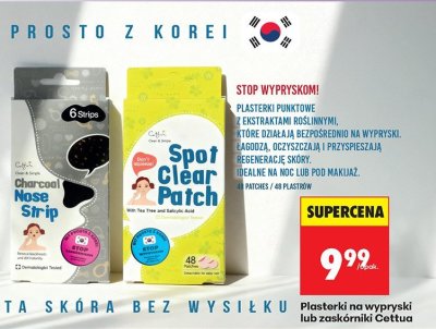 Plasterki na zaskórniki promocja w Biedronka