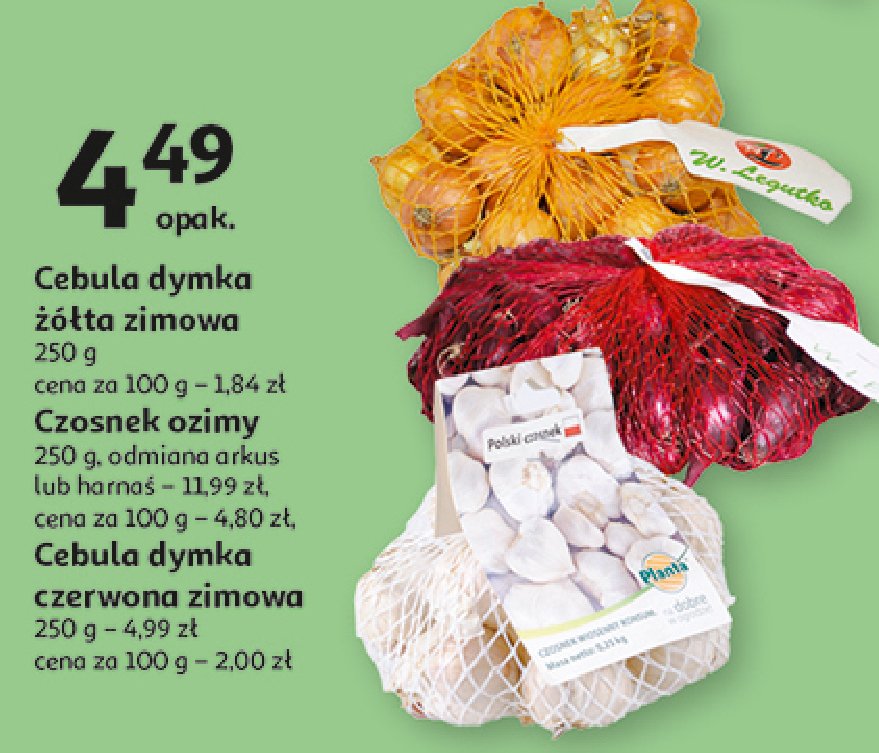 Cebulka dymka czerwona promocja