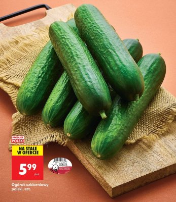 Ogórek szklarniowy polski 1 szt. promocja w Biedronka