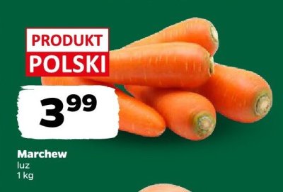 Marchew luz promocja w Netto