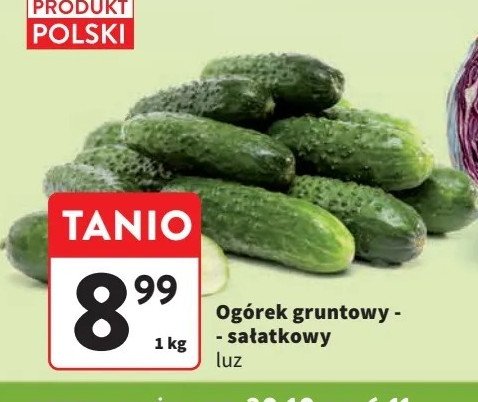 Ogórek gruntowy polska promocja