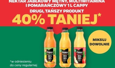 Nektar jabłkowy mętny, multiwitamina i pomarańczowy 1L Cappy promocja w Netto