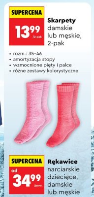 Skarpety damskie lub męskie Hi Mountain 2-pak promocja w Biedronka