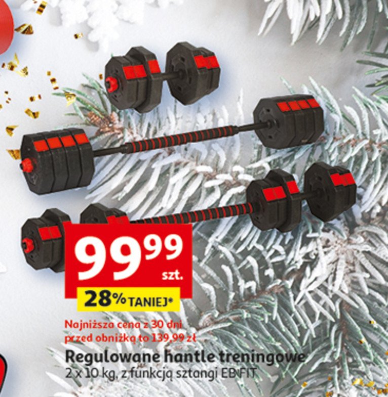 Hantle regulowane 2x 10 kg Eb fit promocja