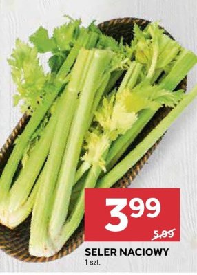 Seler naciowy promocja w Stokrotka