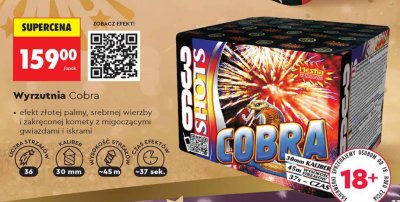 Wyrzutnia fajerwerków Cobra promocja w Biedronka