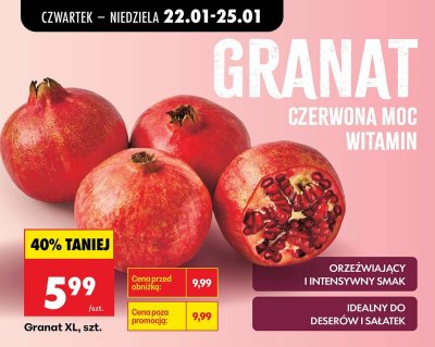 Granat XL 1 szt. promocja w Biedronka