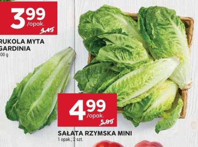 Sałata rzymska mini promocja w Stokrotka
