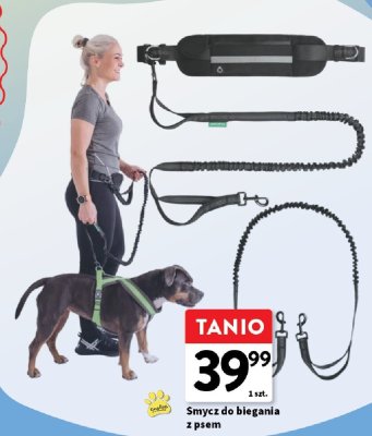 Smycz do biegania z psem promocja w Intermarche