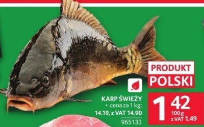 Karp świeży promocja w Selgros