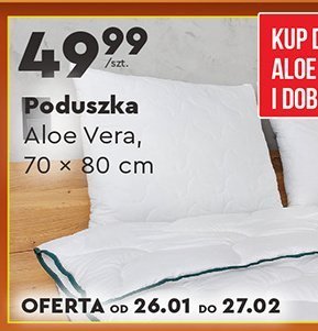 Poduszka Aloe Vera 70 x 80 cm promocja w Biedronka