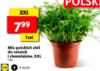 Mix zi贸艂 promocja