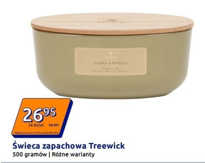 Świeca zapachowa Treewick promocja w Action