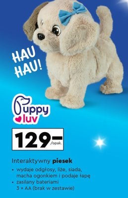 Interaktywny piesek Puppy Luv promocja w Biedronka