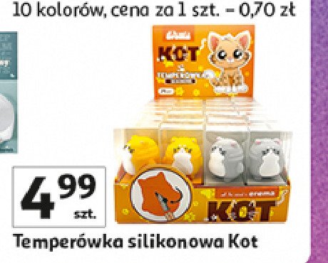 Temperówka kot promocja w Auchan