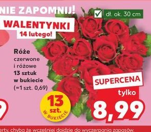 Róże 30 cm promocja