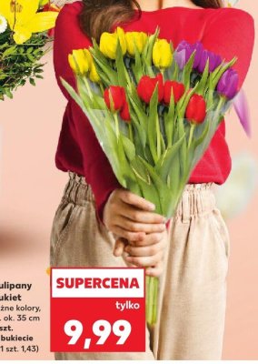 Tulipany bukiet różne kolory promocja w Kaufland