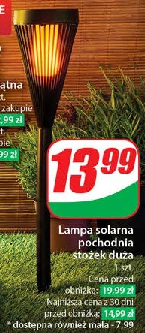 Lampa solarna pochodnia mała promocja w Dino